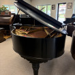 1907 Mason & Hamlin fancy Model A grand piano - Grand Pianos
